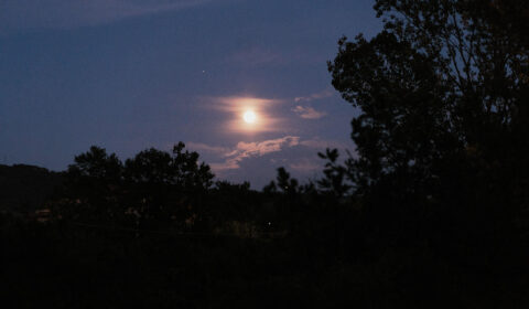 luna sogni